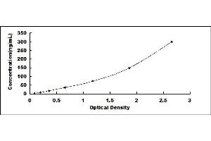 Typical standard curve (PAEP ELISA Kit)