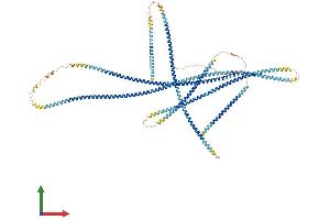 Protein Structure (PS) image for Polyamine Modulated Factor 1 Binding Protein 1 (PMFBP1) (AA 1-1022) protein (His tag) (ABIN7565249)