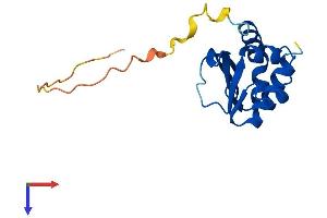 SCP2D1 Protein (AA 1-156) (His tag)