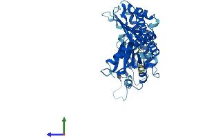 Protein Structure (PS) image for Brain and Reproductive Organ-Expressed (TNFRSF1A Modulator) (BRE) (AA 1-383) protein (His tag) (ABIN7552882)