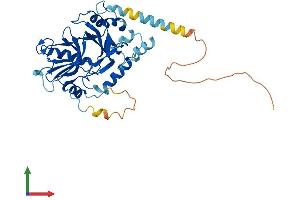 Snurportin 1 Protein (SNUPN) (AA 1-360) (His tag)