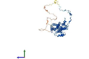 Protein Structure (PS) image for Bestrophin 4 (BEST4) (AA 1-473) protein (His tag) (ABIN7552761)