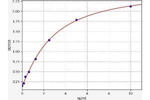 CDKN3 ELISA Kit