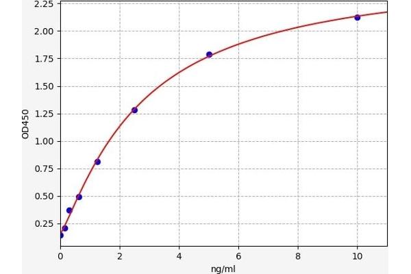 CDKN3 ELISA Kit