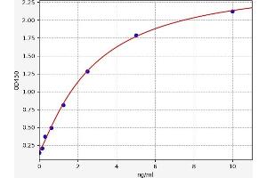 Typical standard curve (CDKN3 ELISA Kit)