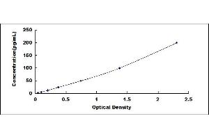 Typical standard curve (AMY2A ELISA Kit)