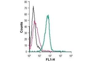 Cell surface detection of GPR34 in live intact mouse BV-2 microglia cells: (black line) Cells. (GPR34 Antikörper  (Extracellular) (FITC))