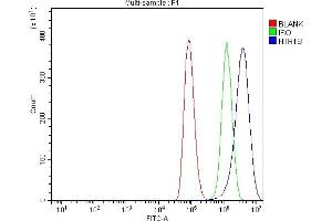 Flow Cytometry analysis of A549 cells using anti-5HT1B/HTR1B antibody (ABIN7601425).
