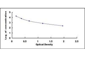 Leukotriene B4 (LTB4) ELISA Kit