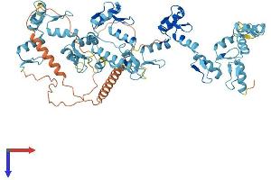 AlphaFold protein structure predicition of Human Recombinant ZNF432 Protein, UniprotID O94892