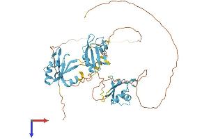 HNRNPH2 Protein (AA 1-449) (His tag)