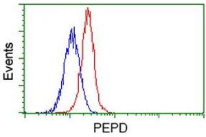 Flow cytometric Analysis of Jurkat cells, using anti-PEPD antibody (ABIN2453446), (Red), compared to a nonspecific negative control antibody (TA50011), (Blue). (PEPD Antikörper)
