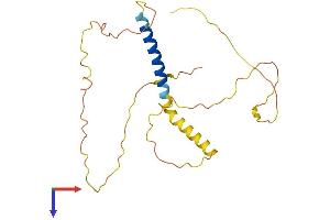 KCNE4 Protein (AA 1-221) (His tag)