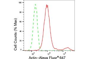 Flow cytometric analysis of Actin expression in HT- cells using Actin antibody (ABIN7797460), 1:2,000).