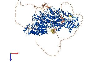 HDAC6 Protein (AA 1-1149) (His tag)