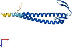 UXT Protein (AA 1-157) (His tag)