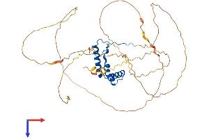 SOX4 Protein (AA 1-440) (His tag)