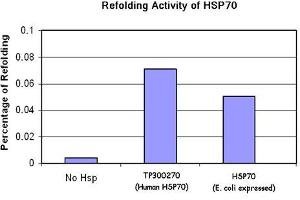 Bioactivity measured with Activity Assay (HSP70 1A Protein (Myc-DYKDDDDK Tag))