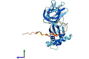 Protein Structure (PS) image for Exosome Component 2 (EXOSC2) (AA 1-293) protein (His tag) (ABIN7553877)