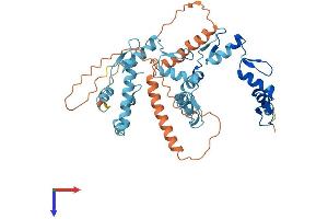 ZNF514 Protein (AA 1-400) (His tag)