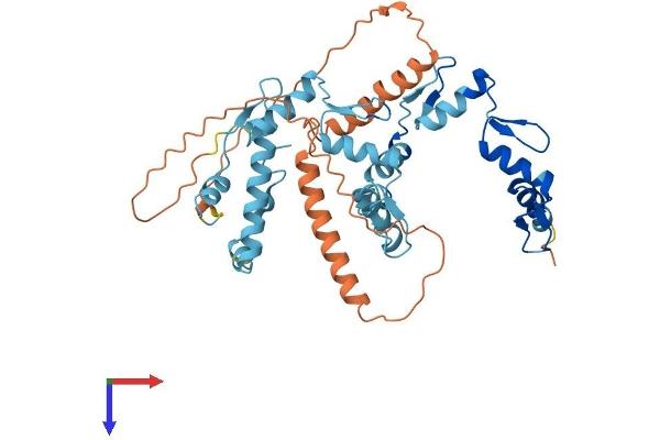 ZNF514 Protein (AA 1-400) (His tag)