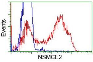 HEK293T cells transfected with either RC207639 overexpress plasmid (Red) or empty vector control plasmid (Blue) were immunostained by anti-NSMCE2 antibody (ABIN2453383), and then analyzed by flow cytometry. (NSMCE2 Antikörper)