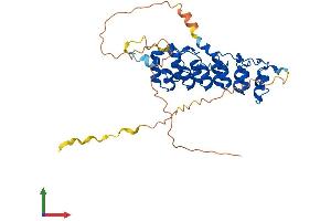 Protein Structure (PS) image for NF-kappa-B inhibitor beta (NFKBIB) (AA 1-356) protein (His tag) (ABIN7548462)