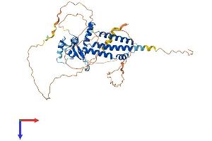 TFAP2B Protein (AA 1-459) (His tag)