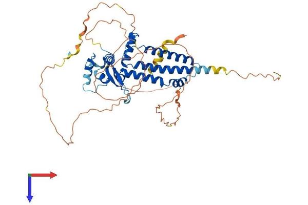 TFAP2B Protein (AA 1-459) (His tag)