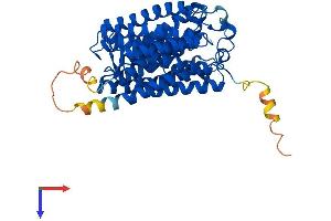 RHAG Protein (AA 1-438) (His tag)
