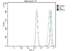Flow Cytometry analysis of THP-1 cells using anti-RUFY4 antibody (ABIN7599475). (RUFY4 Antikörper  (AA 1-553))