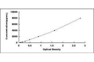 Typical standard curve (Vimentin ELISA Kit)