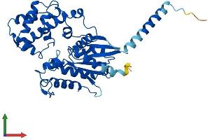 Protein Structure (PS) image for Guanine Nucleotide Binding Protein (G Protein), alpha 14 (GNa14) (AA 1-355) protein (His tag) (ABIN7547997)