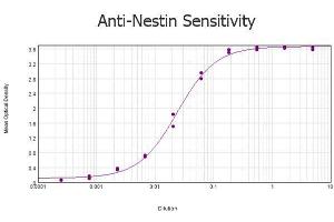 ELISA results of purified Rabbit anti-Nestin Antibody tested against BSA-conjugated peptide of immunizing peptide. (Nestin Antikörper  (AA 1484-1500))