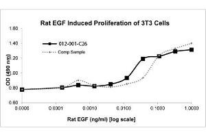 SDS-PAGE of Rat Epidermal Growth Factor Recombinant Protein Bioactivity of Rat Epidermal Growth Factor Recombinant Protein . (EGF Protein)