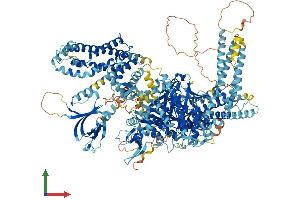 AlphaFold protein structure predicition of Mouse Recombinant Prex2 Protein, UniprotID Q3LAC4