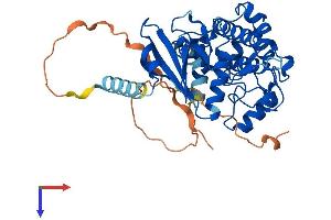 Protein Serine Kinase H2 (PSKH2) (AA 1-385) protein (His tag)