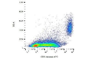 Flow cytometry analysis (surface staining) of CD9 in murine peritoneal fluid cells with anti-CD9 (EM-04) APC. (CD9 Antikörper  (APC))