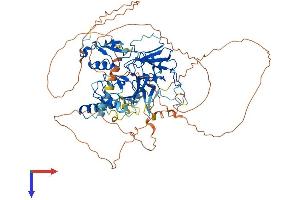 SETDB2 Protein (AA 1-719) (His tag)