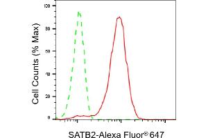 Flow cytometric analysis of SATB2 expression in HeLa cells using SATB2 antibody (ABIN7800274), 1:2,000). (Rekombinanter SATB2 Antikörper)