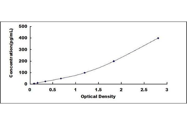 MMP10 ELISA Kit