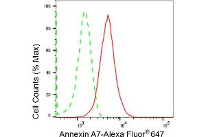 Flow cytometric analysis of Annexin A7 expression in HepG2 cells using Annexin A7 antibody (ABIN7797626), 1:2,000). (Rekombinanter Annexin VII Antikörper)