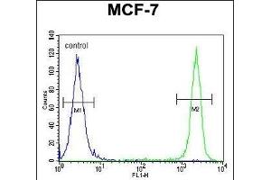 SEL1L Antibody (Center) (ABIN654642 and ABIN2844339) flow cytometric analysis of MCF-7 cells (right histogram) compared to a negative control cell (left histogram). (SEL1L Antikörper  (AA 156-182))