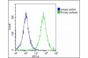 Flow Cytometry (FACS) image for anti-Insulin-Like Growth Factor 2 mRNA Binding Protein 1 (IGF2BP1) (AA 508-534), (C-Term) antibody (ABIN654423)