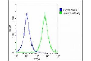 Overlay histogram showing HepG2 cells stained with (ABIN654423 and ABIN2844158)(green line). (IGF2BP1 Antikörper  (C-Term))