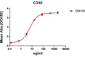 ELISA plate pre-coated by 2 μg/mL (100 μL/well) Human CD40 protein, mFc-His tagged protein ((ABIN6961088, ABIN7042205 and ABIN7042206)) can bind Rabbit anti-CD40 monoclonal antibody(clone: DM100) in a linear range of 0. (CD40 Antikörper  (AA 21-193))