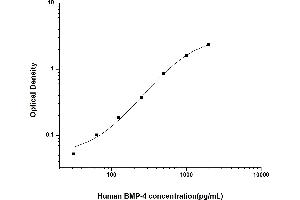 Bone Morphogenetic Protein 4 (BMP4) ELISA Kit