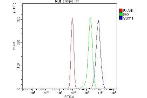 Flow Cytometry analysis of ANA-1 cells using anti-Sox11 antibody (ABIN7599308). (SOX11 Antikörper  (AA 1-358))