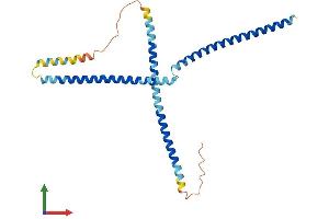 Protein Structure (PS) image for FGFR1 Oncogene Partner 2 (FGFR1OP2) (AA 1-253) protein (His tag) (ABIN7560629)