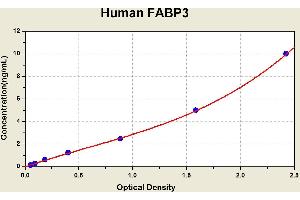 Fatty Acid Binding Protein 3, Muscle and Heart (FABP3) ELISA Kit